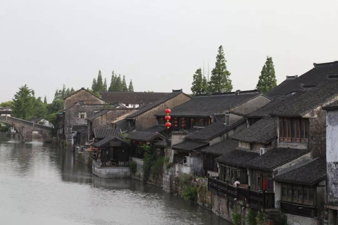 春雨直播app